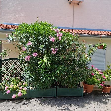 Apartments Zoretic マリンスカ エクステリア 写真