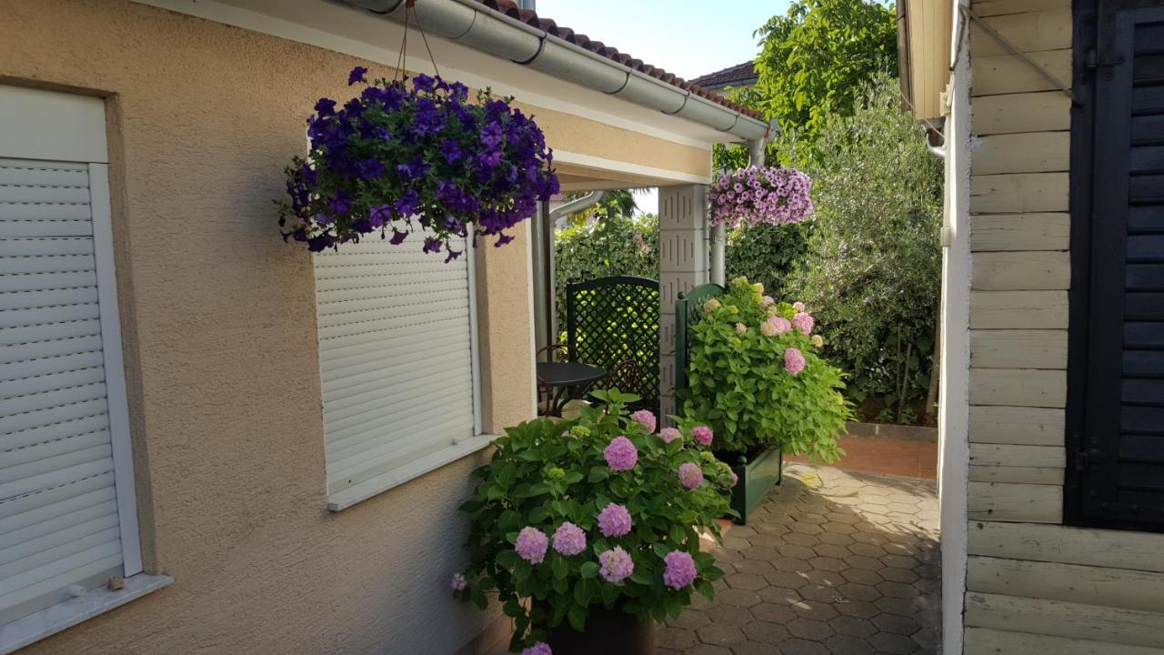 Apartments Zoretic マリンスカ エクステリア 写真