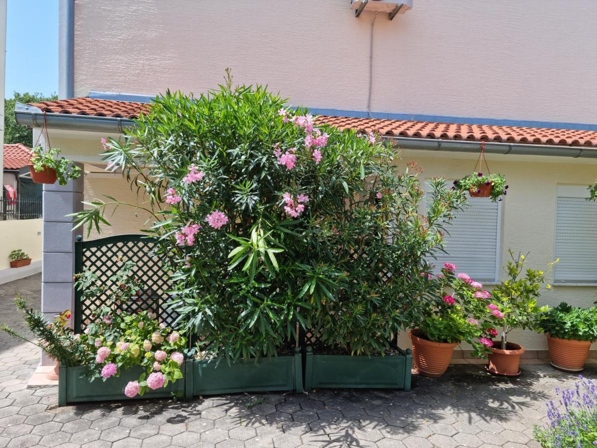 Apartments Zoretic マリンスカ エクステリア 写真